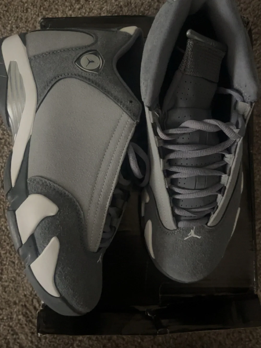 Jordan Men’s Low-Top Sneakers in Gray